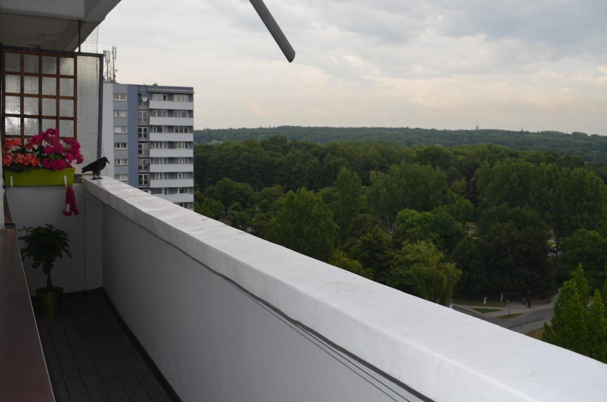 Apartment Silesia Park - Free Parking - Easy Check-In Катовице Экстерьер фото